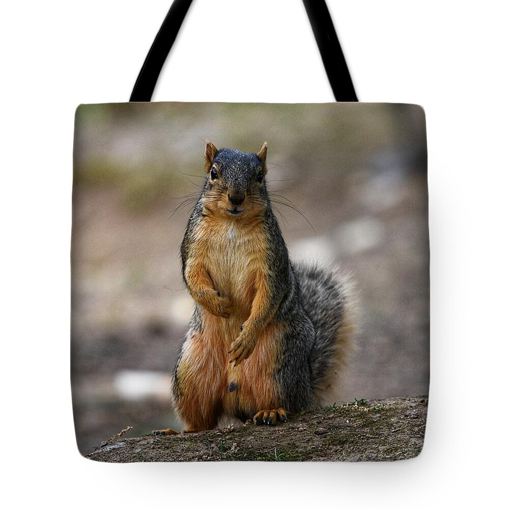 Photography Tote Bag featuring the photograph You talkin' to me? by Evan Foster