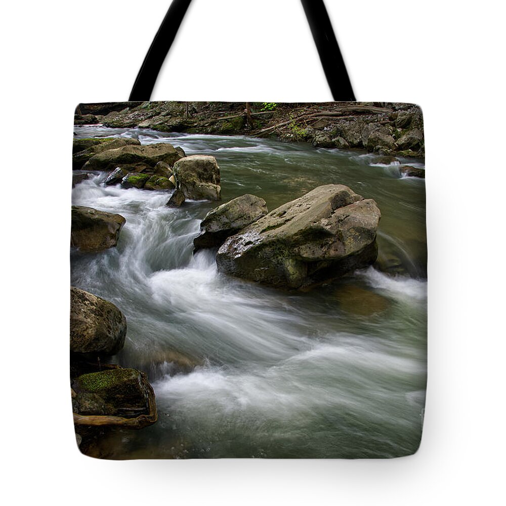 Waterfall Tote Bag featuring the photograph Potter's Falls 16 by Phil Perkins