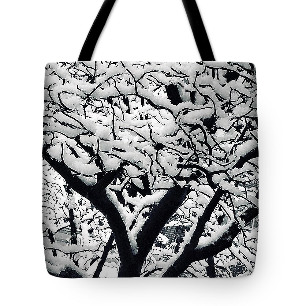 Snow Tote Bag featuring the photograph Powder Soft by Kerry Obrist