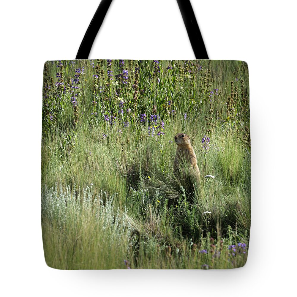 New Mexico Tote Bag featuring the photograph Prairie Dog in Flowers by Mary Lee Dereske