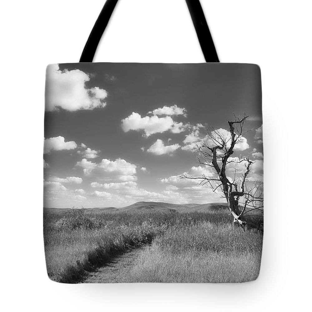 Landsape Tote Bag featuring the photograph Prairie Path and Tree by Allan Van Gasbeck