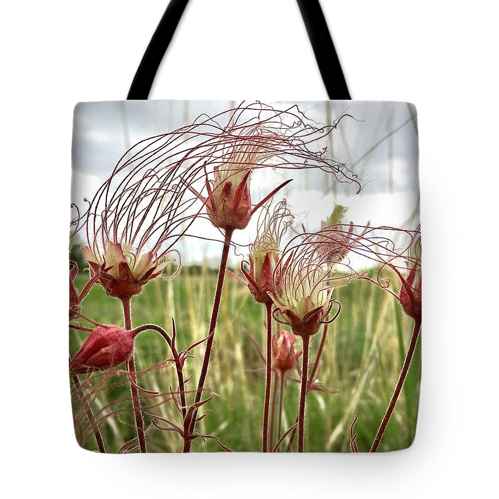 Otter Tail County Tote Bags