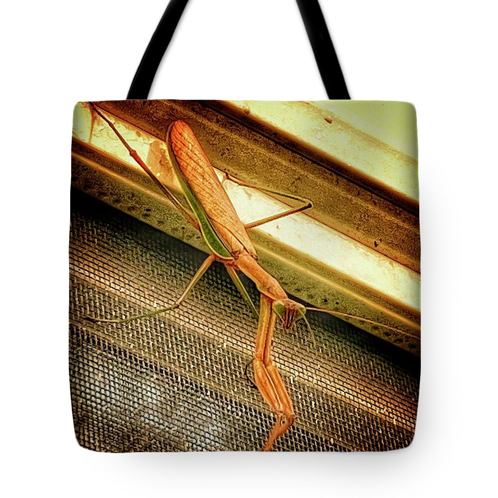 Praying Mantis Tote Bag featuring the digital art Praying Mantis by Kristin Hatt