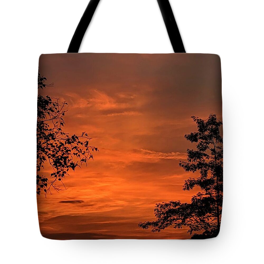  Tote Bag featuring the photograph Pre-Dawn in the Neighborhood by Brad Nellis
