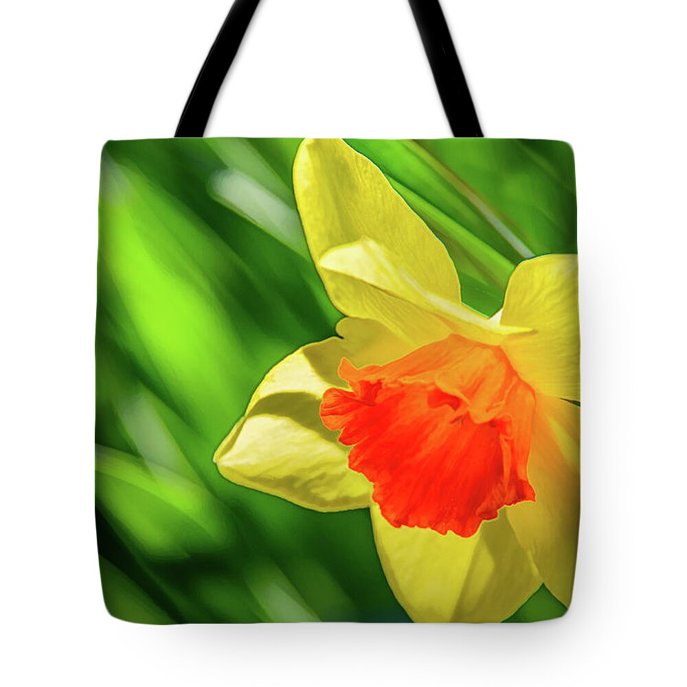 Daffodils Tote Bag featuring the photograph Precocious Daffodil by Marcy Wielfaert