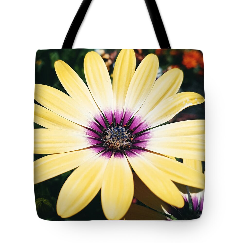 Flower Tote Bag featuring the photograph Pretty Eyed Flower by Dani McEvoy