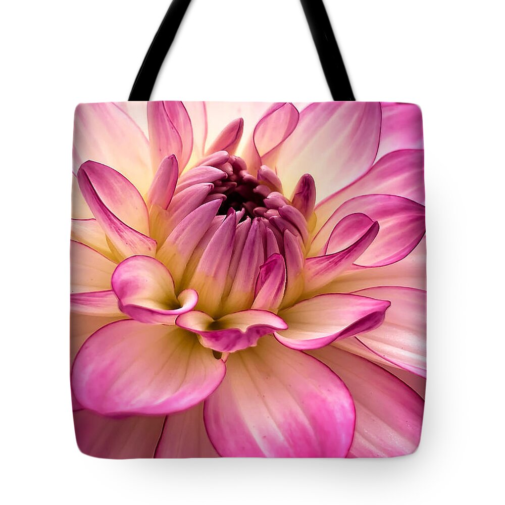Dahlia Tote Bag featuring the photograph Pretty in Pink by Andrea Platt