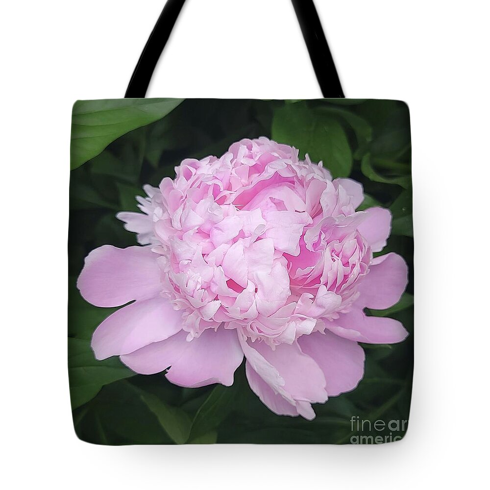 Art Tote Bag featuring the photograph Ruffled Petals by Jeannie Rhode