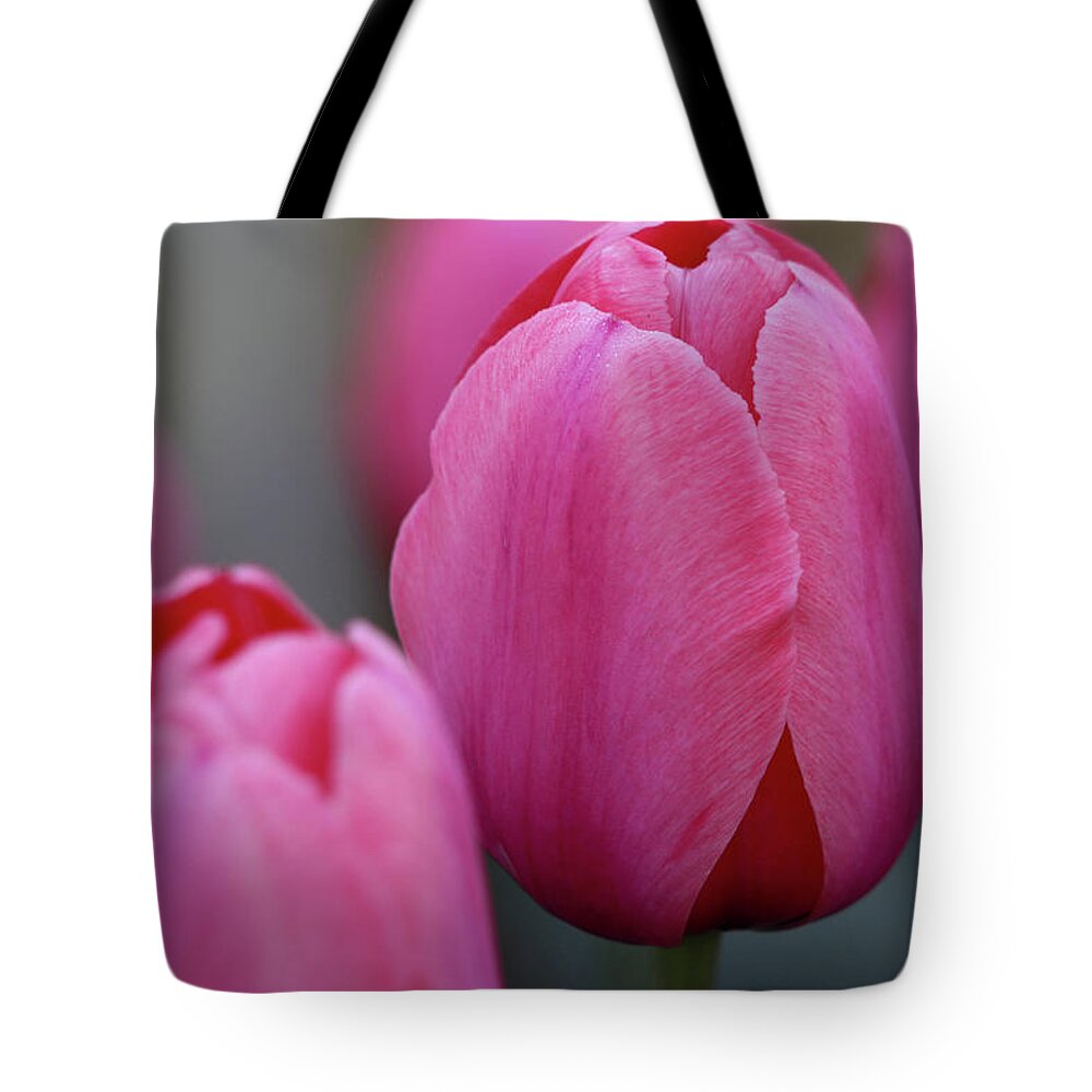 Tulip Tote Bag featuring the photograph Pretty in Pink by Mary Anne Delgado