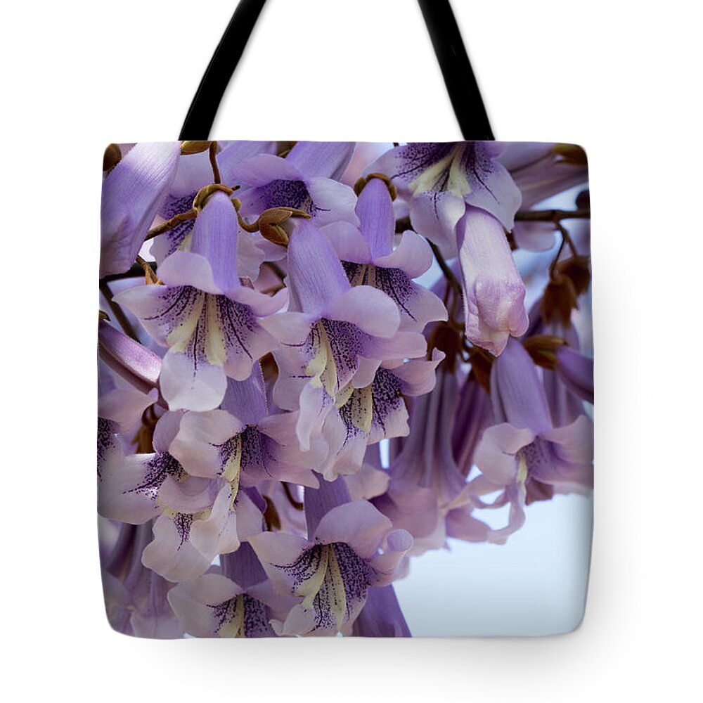 Purple Tote Bag featuring the photograph Pretty in Purple by Linda Lees