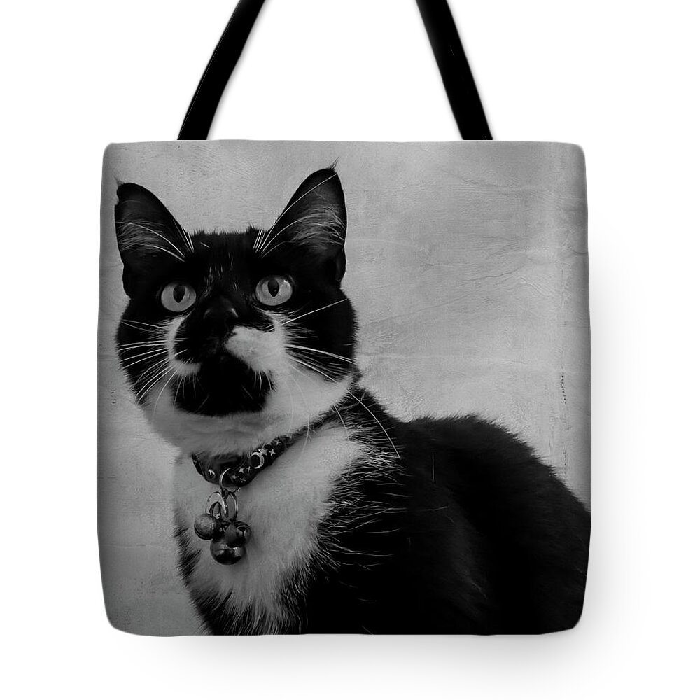 Cat Tote Bag featuring the photograph Pretty Kitty by Cathy Kovarik