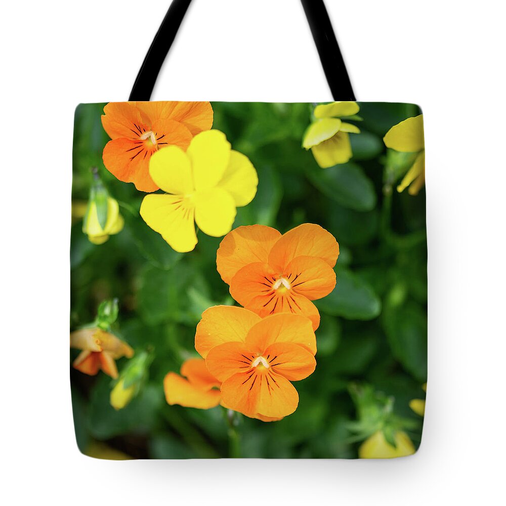 Orange Tote Bag featuring the photograph Pretty Orange Flowers by Valerie Cason