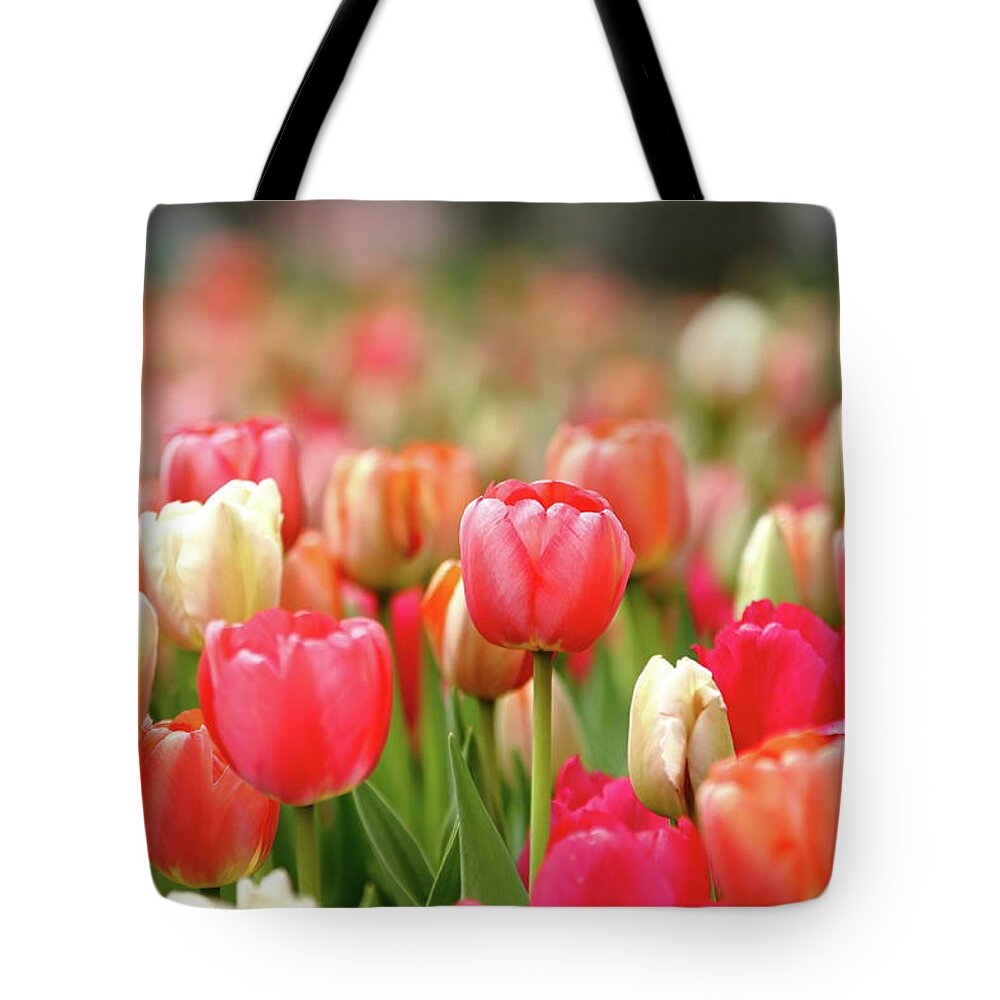 Nature Tote Bag featuring the photograph Pretty Pastels by Lens Art Photography By Larry Trager