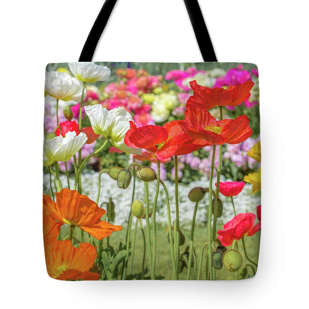 Multi Colored Photos Tote Bags