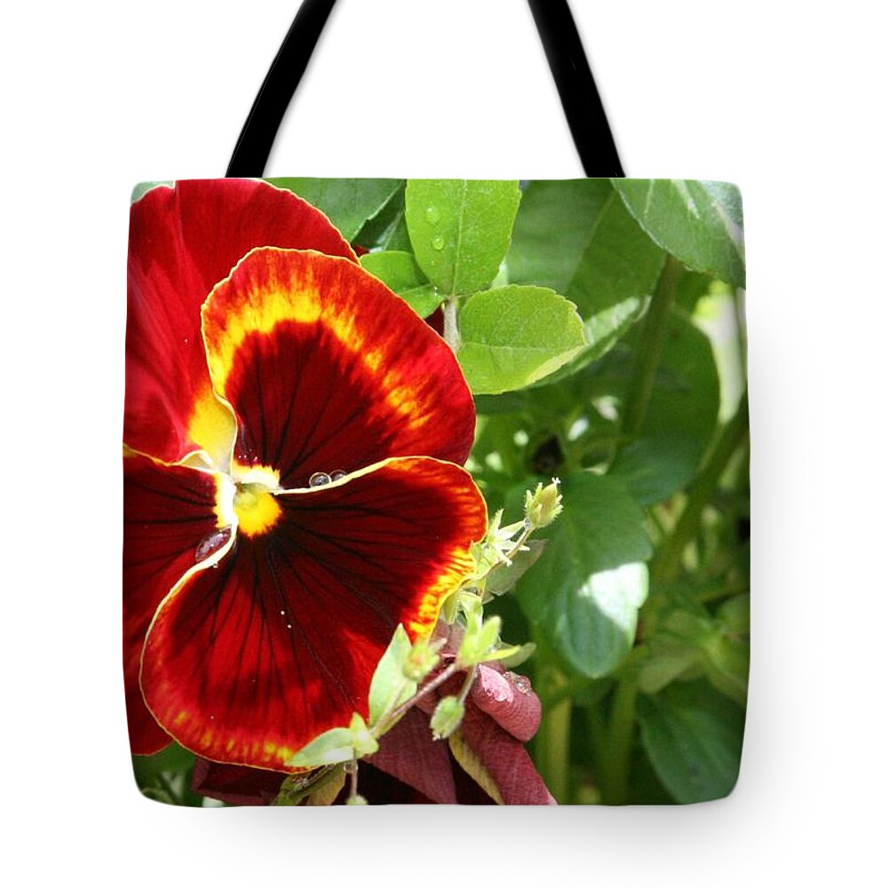 Flowers Tote Bag featuring the photograph Pretty red flower by Christopher Rowlands