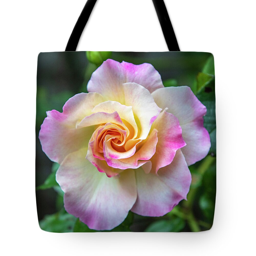 Flower Tote Bag featuring the photograph Pretty Rose by Cathy Kovarik