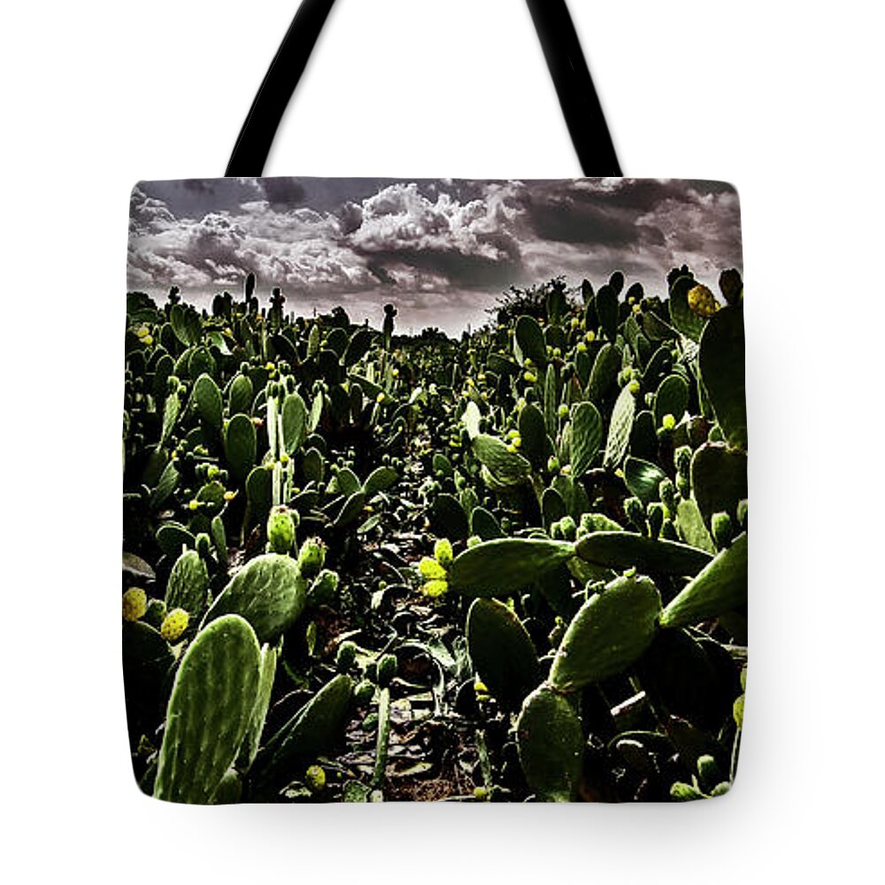 Prickly Pear Tote Bag featuring the photograph Prickly pear by Al Fio Bonina