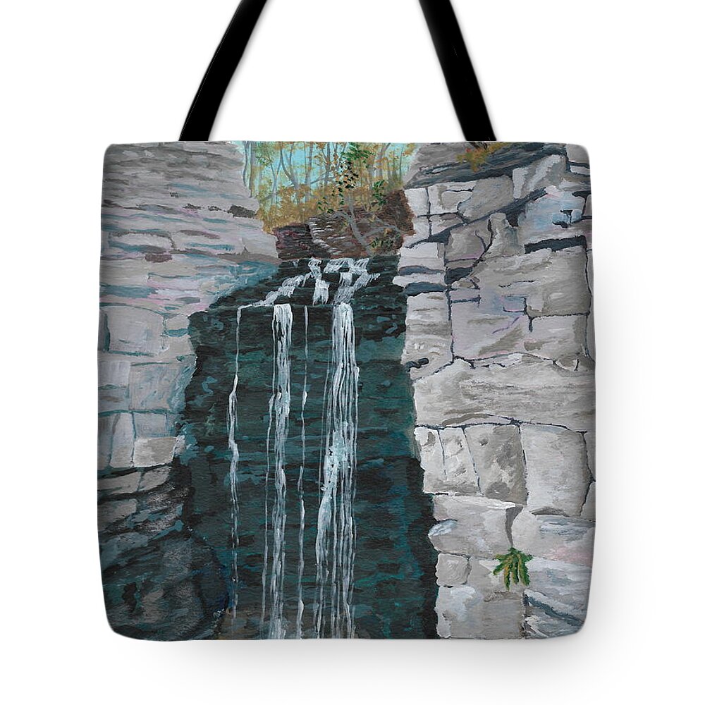 Nature Tote Bag featuring the painting Princess Falls by David Bigelow