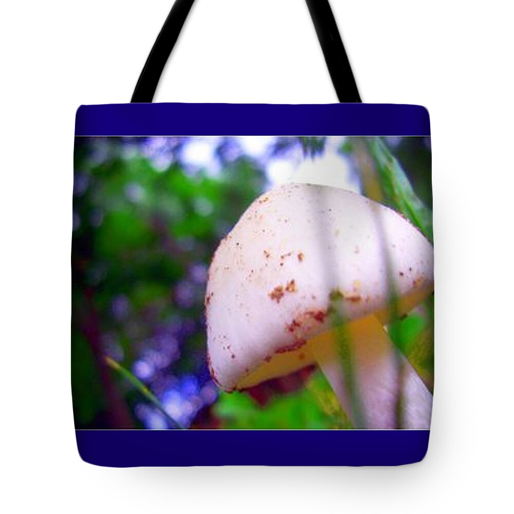 Mushroom Tote Bag featuring the photograph Prismashroom by Vicki Noble