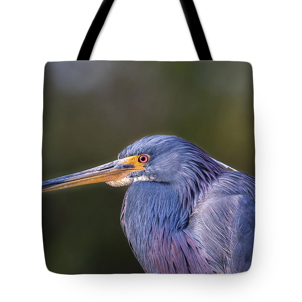 Heron Tote Bag featuring the photograph Profile by Les Greenwood
