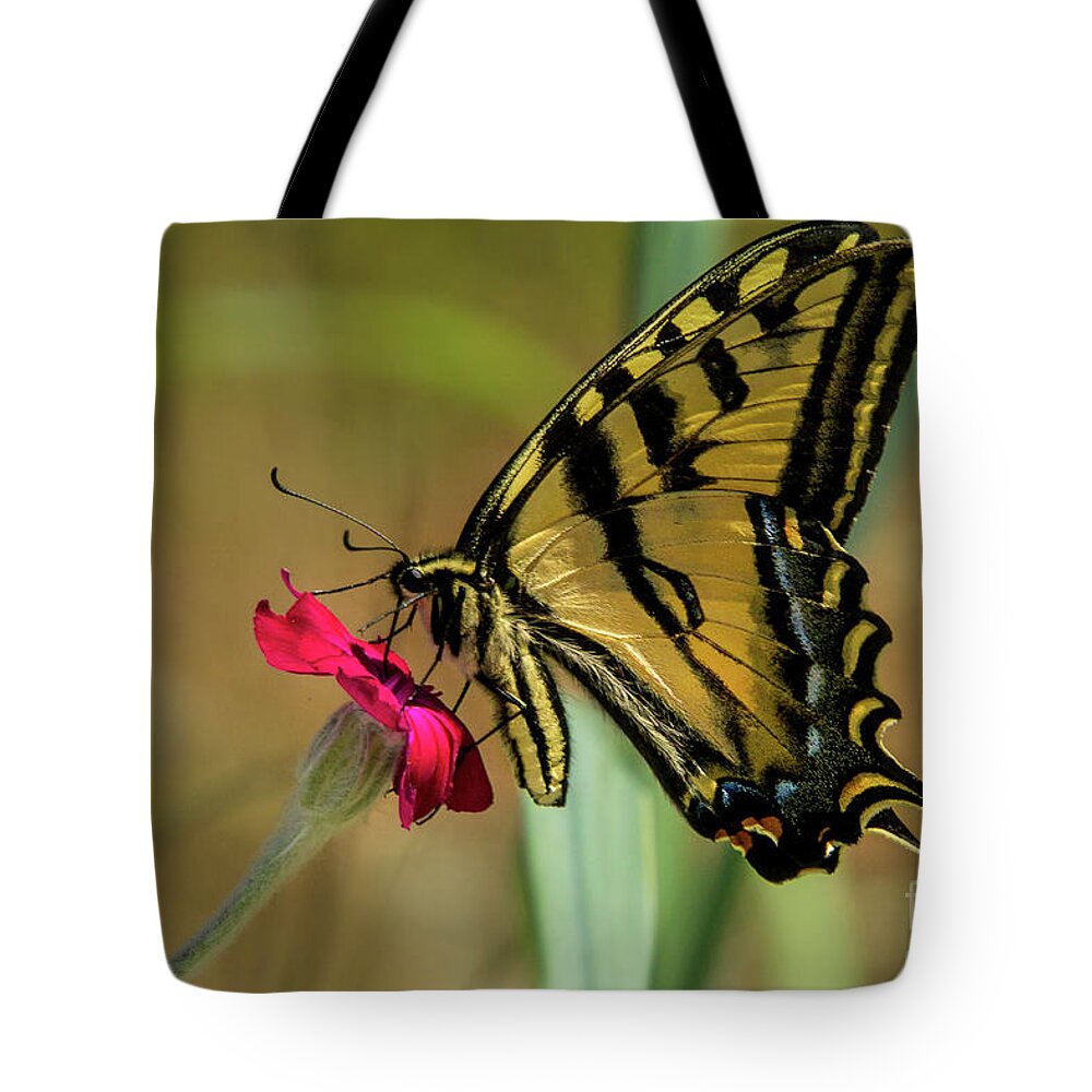 Western Tiger Swallowtail Tote Bag featuring the photograph Profile of Western Tiger Swallowtail by Nancy Gleason
