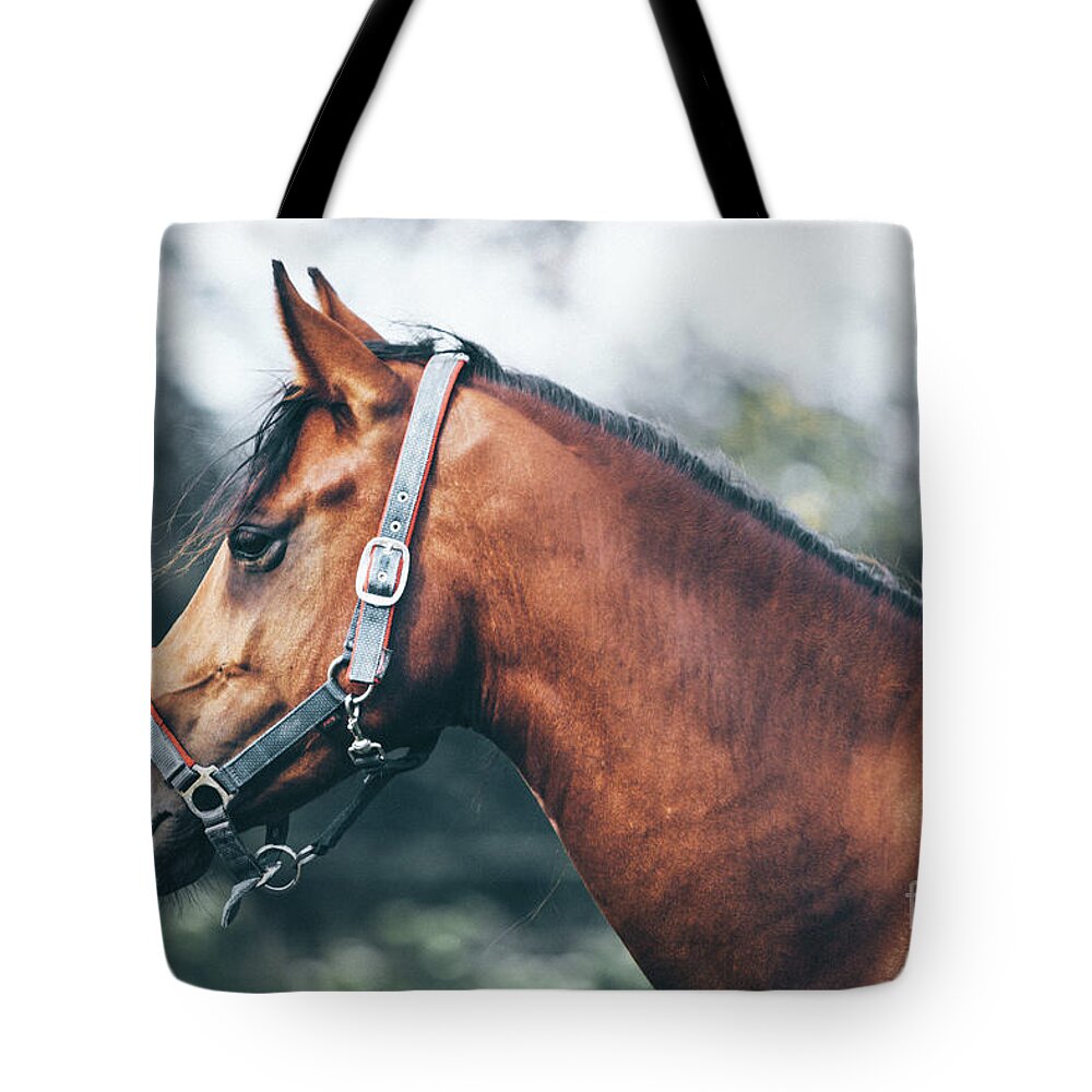 Horse Tote Bag featuring the photograph Profile view of a brown horse by Dimitar Hristov