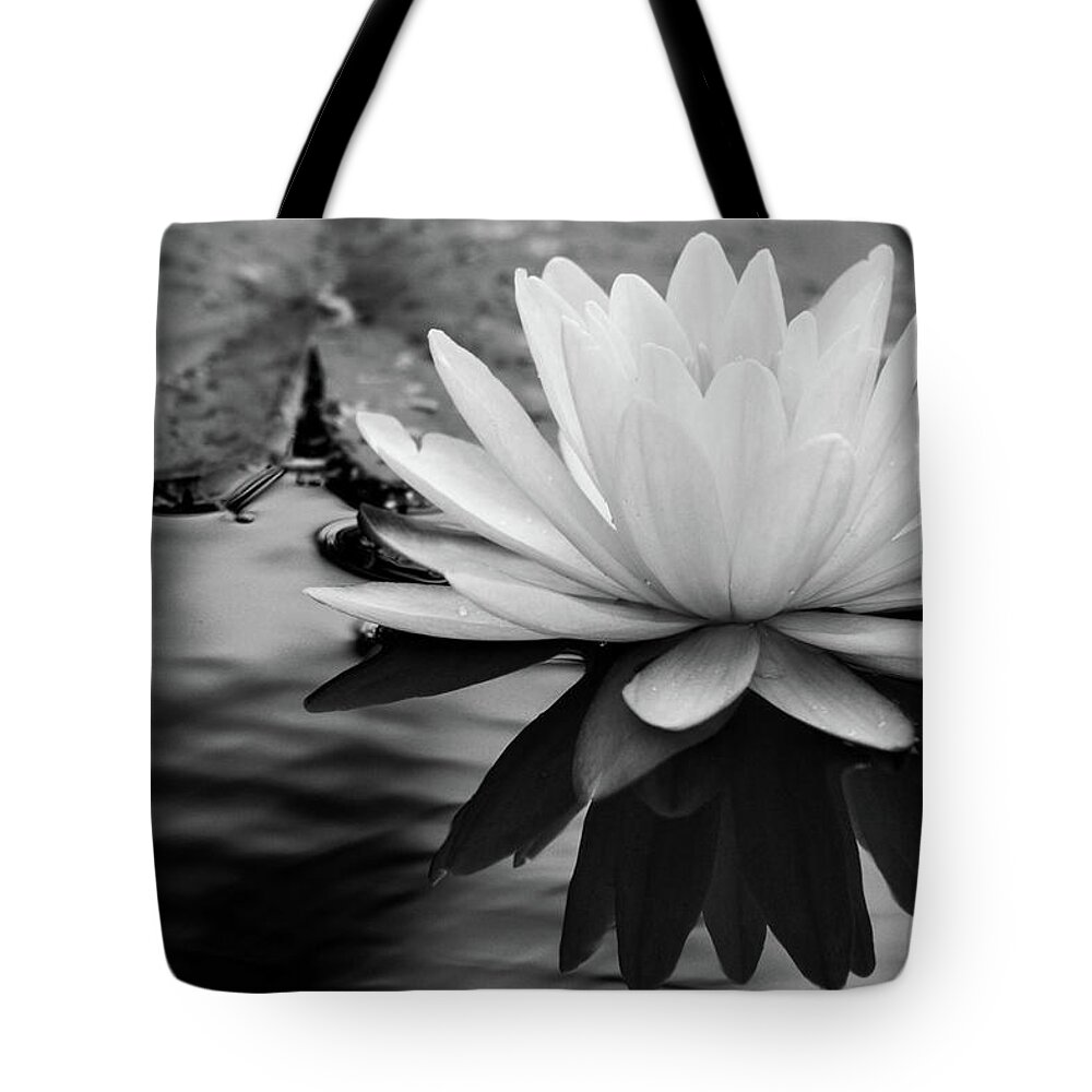 Water Lily Tote Bag featuring the photograph Promise of Purity by Mary Anne Delgado