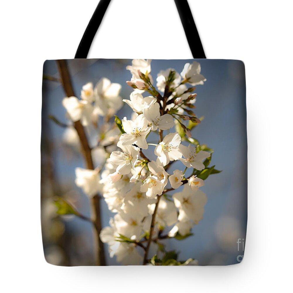 Spring Tote Bag featuring the photograph Promise of Spring by Veronica Batterson