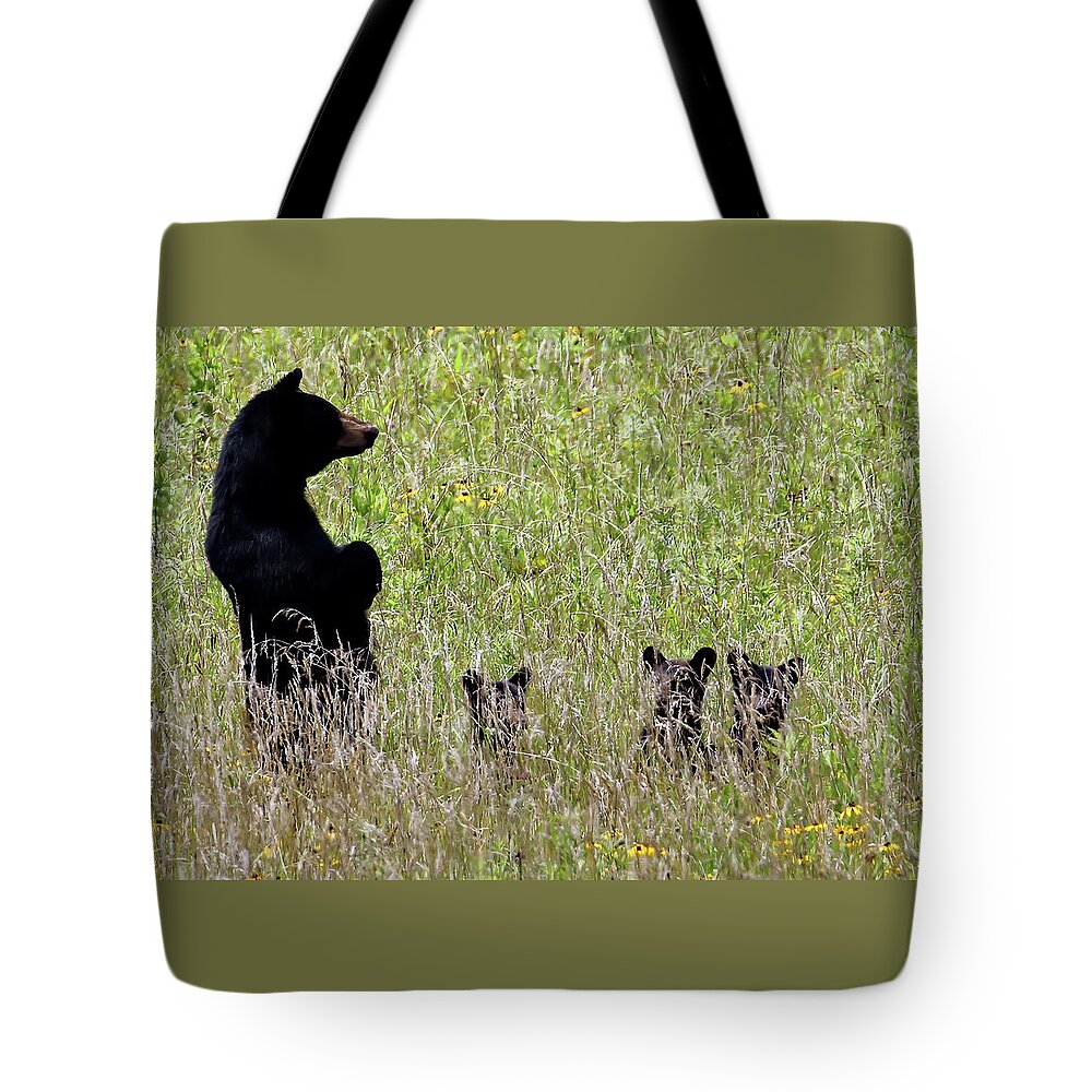 Tennessee Tote Bag featuring the photograph Protective Black Bear by Jennifer Robin