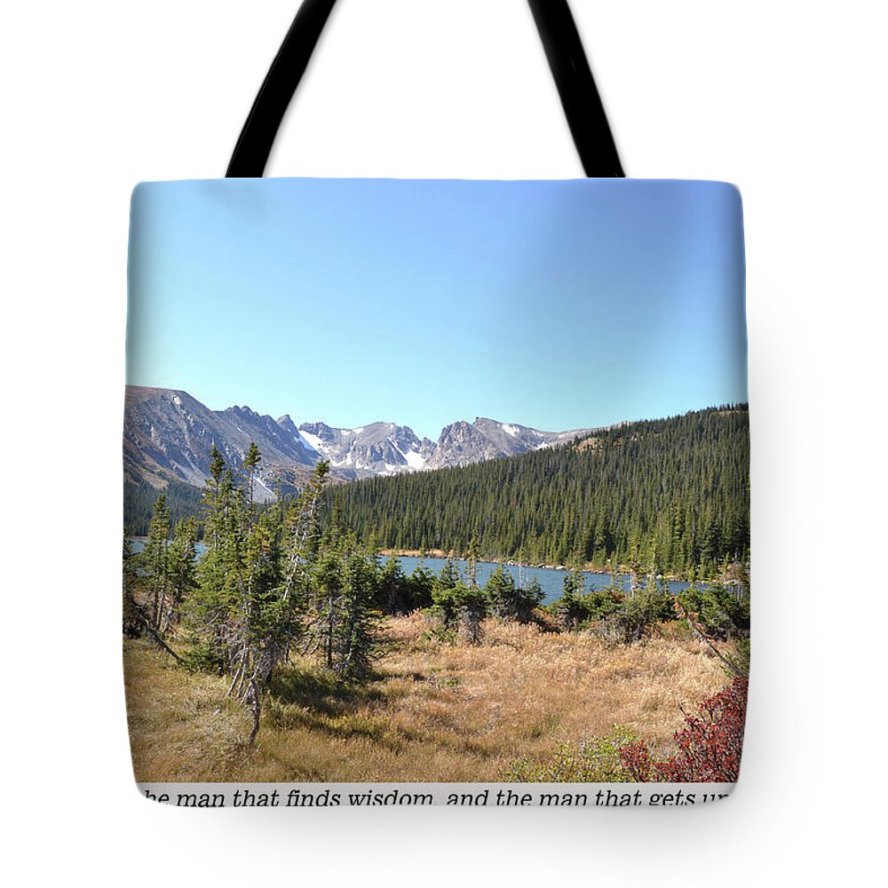  Tote Bag featuring the mixed media Prov 3 19 by Lori Tondini