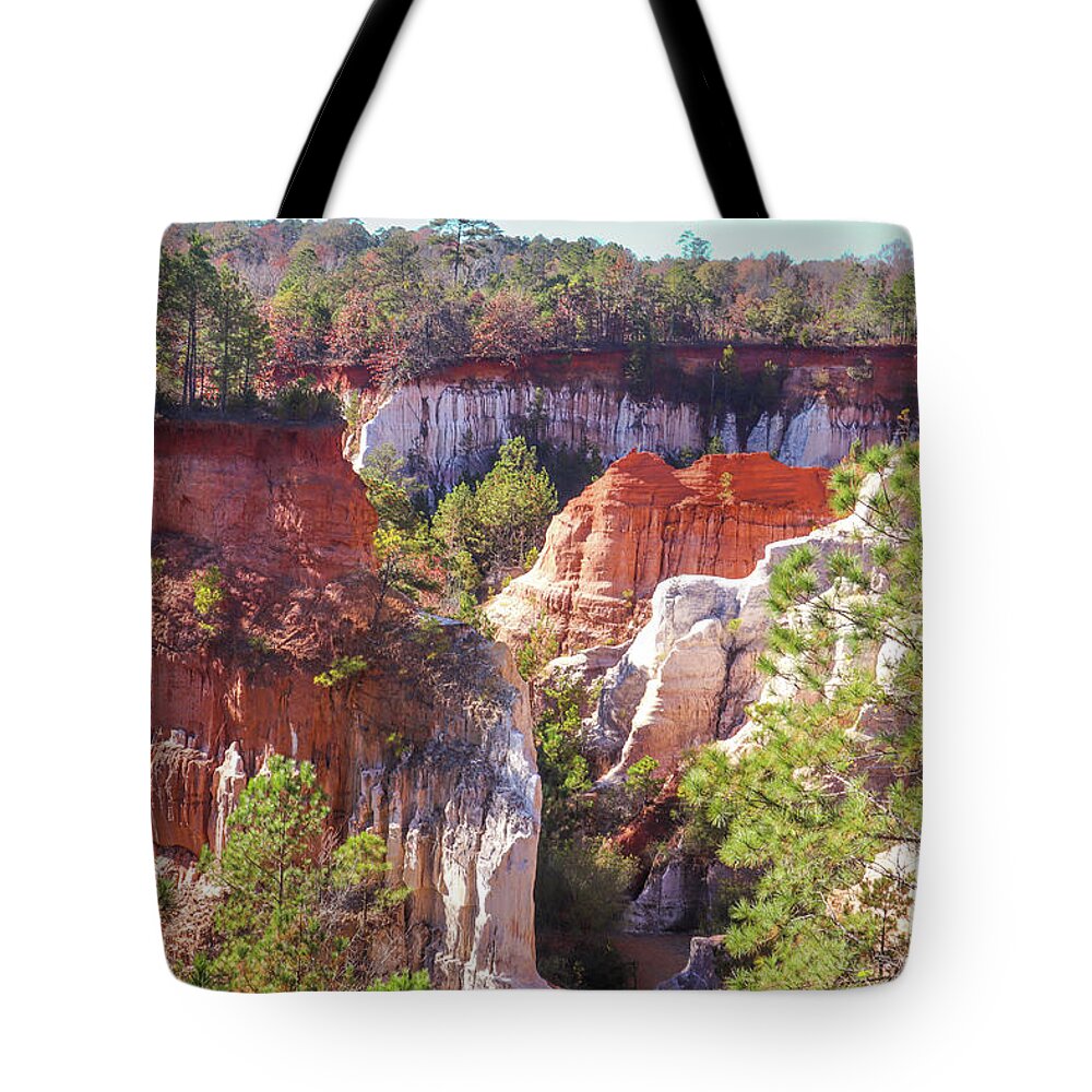 Providence Canyon State Park Tote Bag featuring the photograph Providence Canyon Across by Ed Williams