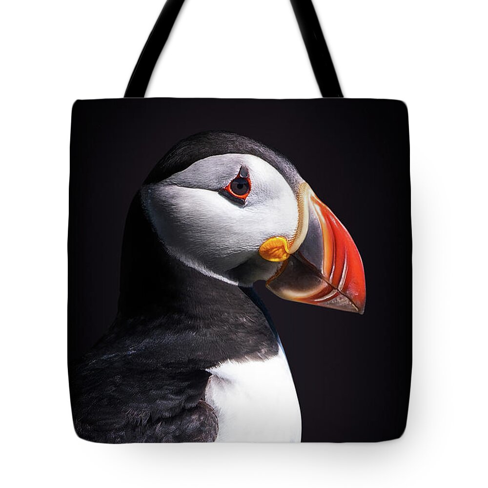 Puffin Tote Bag featuring the photograph Puffin portrait by Delphimages Photo Creations