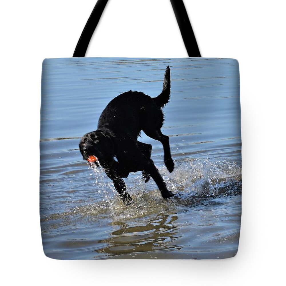 Playful Puppy Tote Bag featuring the photograph Puppies Play Time on The Beach by James Cousineau