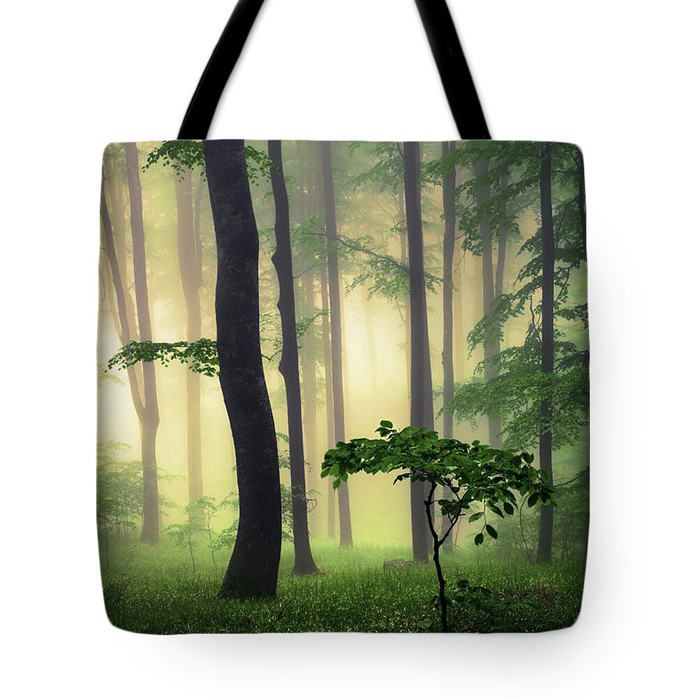 Balkan Mountains Tote Bag featuring the photograph Pure Nature by Evgeni Dinev