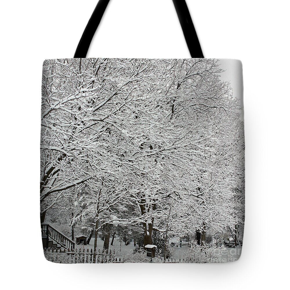 Landscape Photography Tote Bag featuring the photograph Purity of Snow - Square by Frank J Casella
