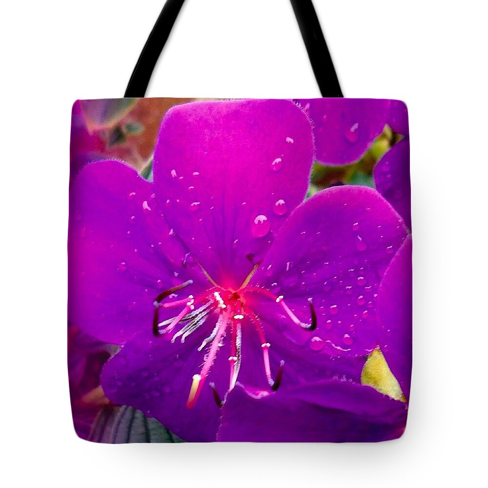 Purple Tote Bag featuring the photograph Purple After The Rain by VIVA Anderson