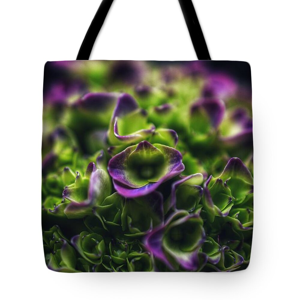 Photo Tote Bag featuring the photograph Purple Crown Close up by Evan Foster