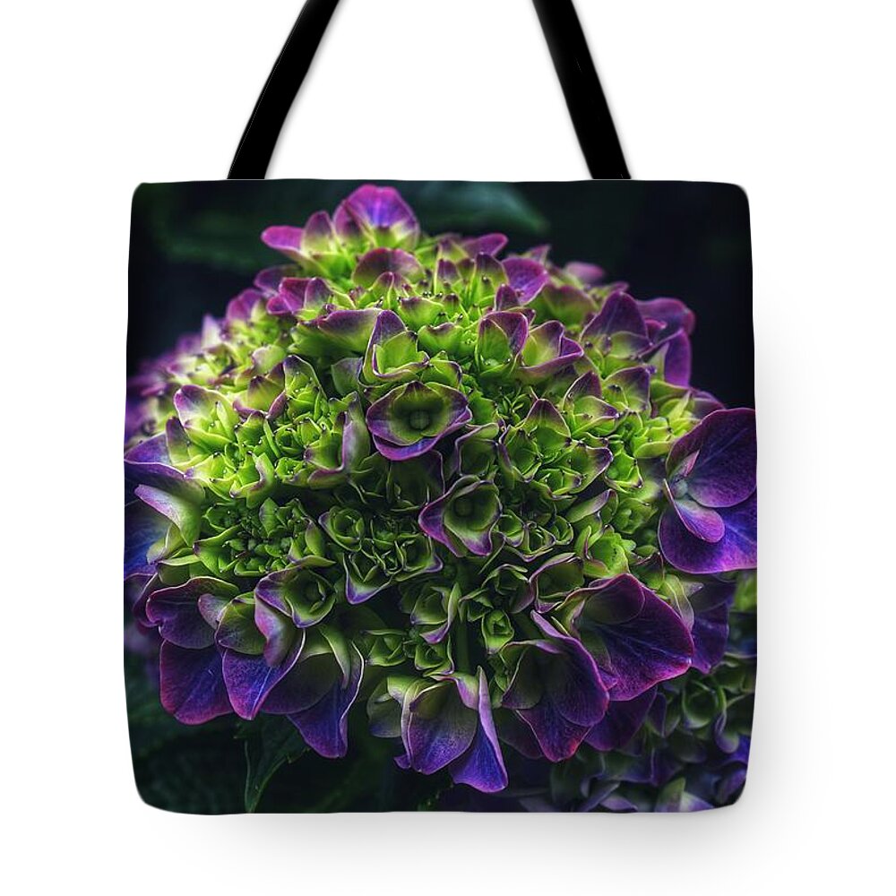 Photo Tote Bag featuring the photograph Purple Crown by Evan Foster