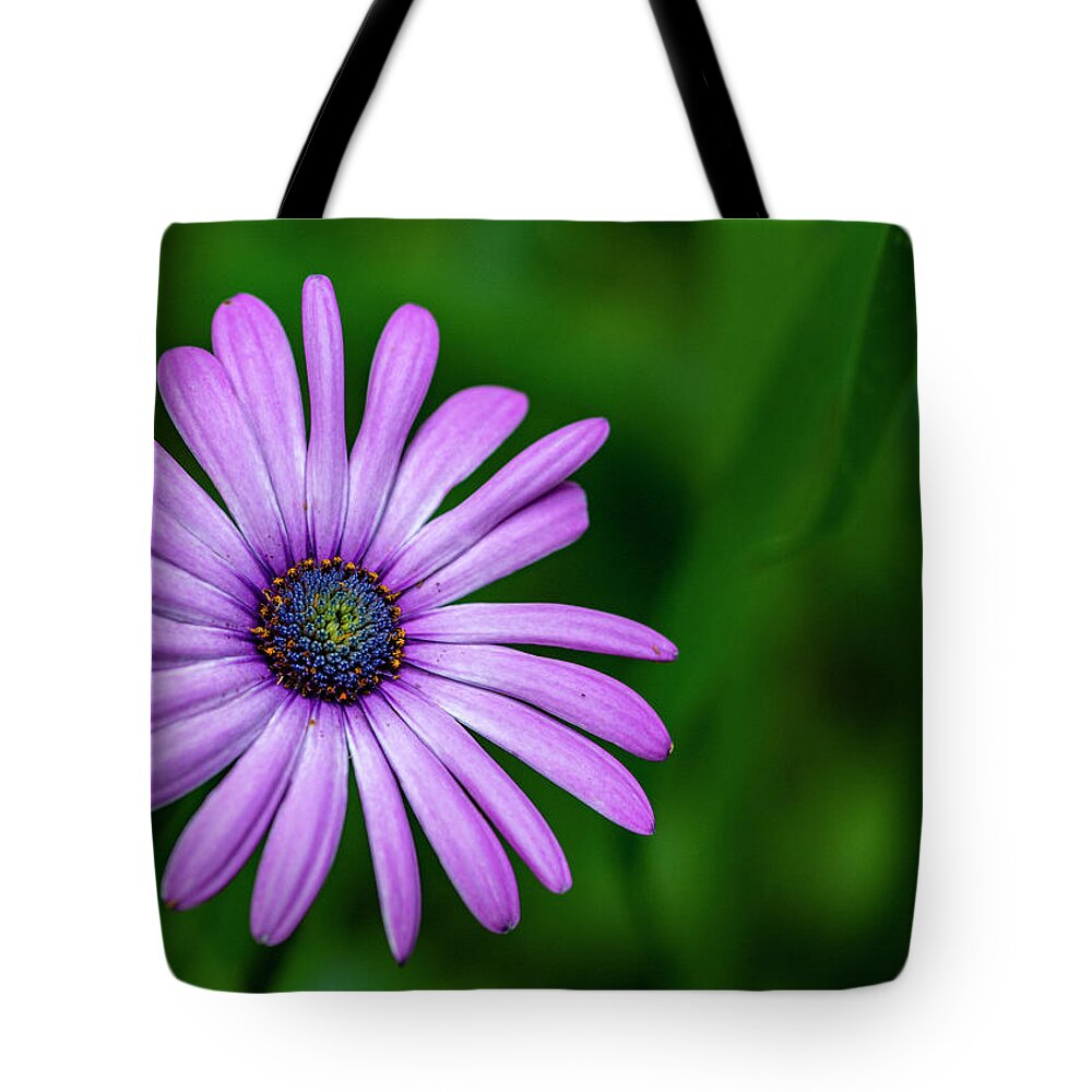 Flower Tote Bag featuring the photograph Purple Daisy by Cathy Kovarik