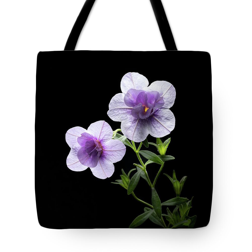 Purple Tote Bag featuring the photograph Fireworks in Purple by Kevin Suttlehan