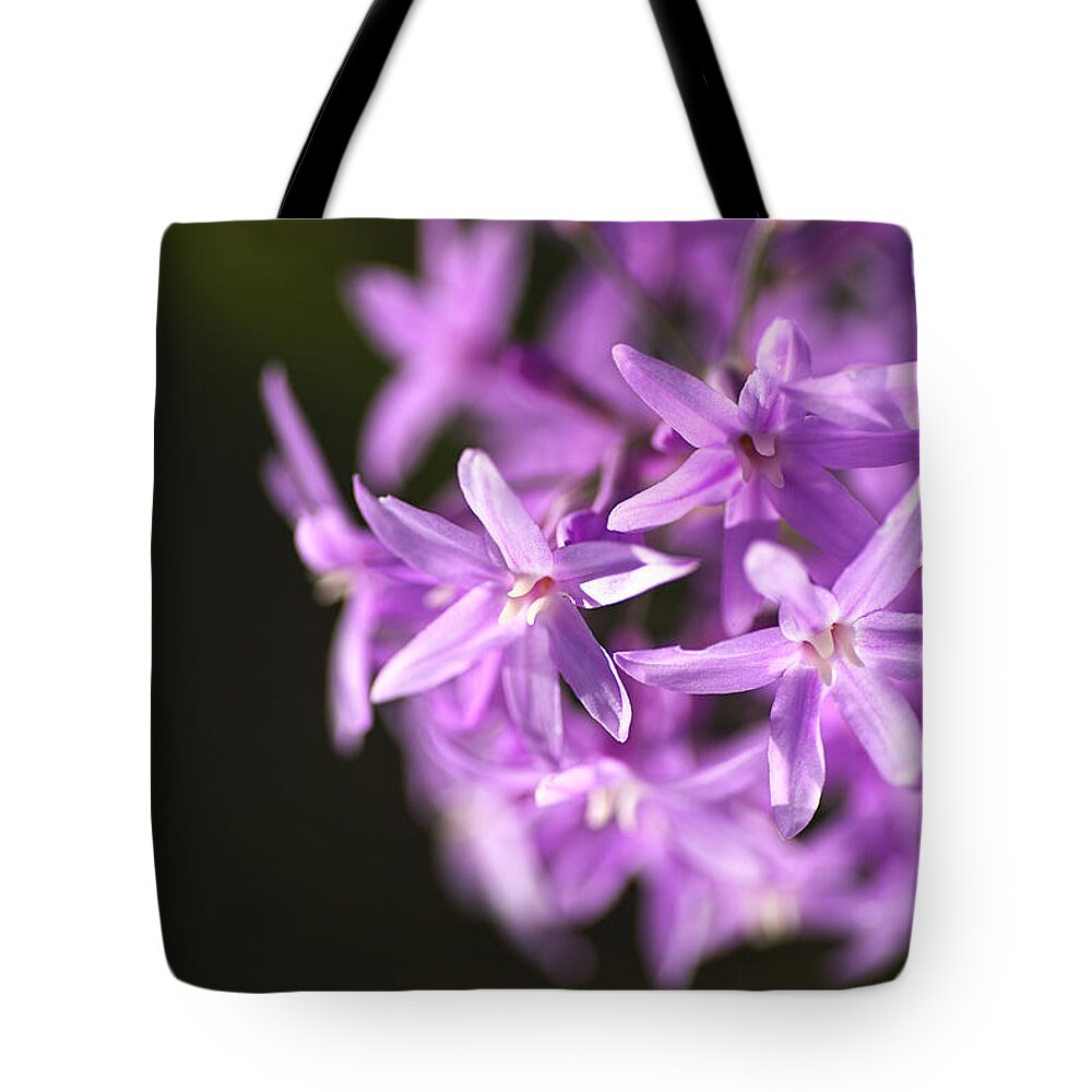 Purple Flower Ring Tote Bag featuring the photograph Purple Flower Ring by Joy Watson