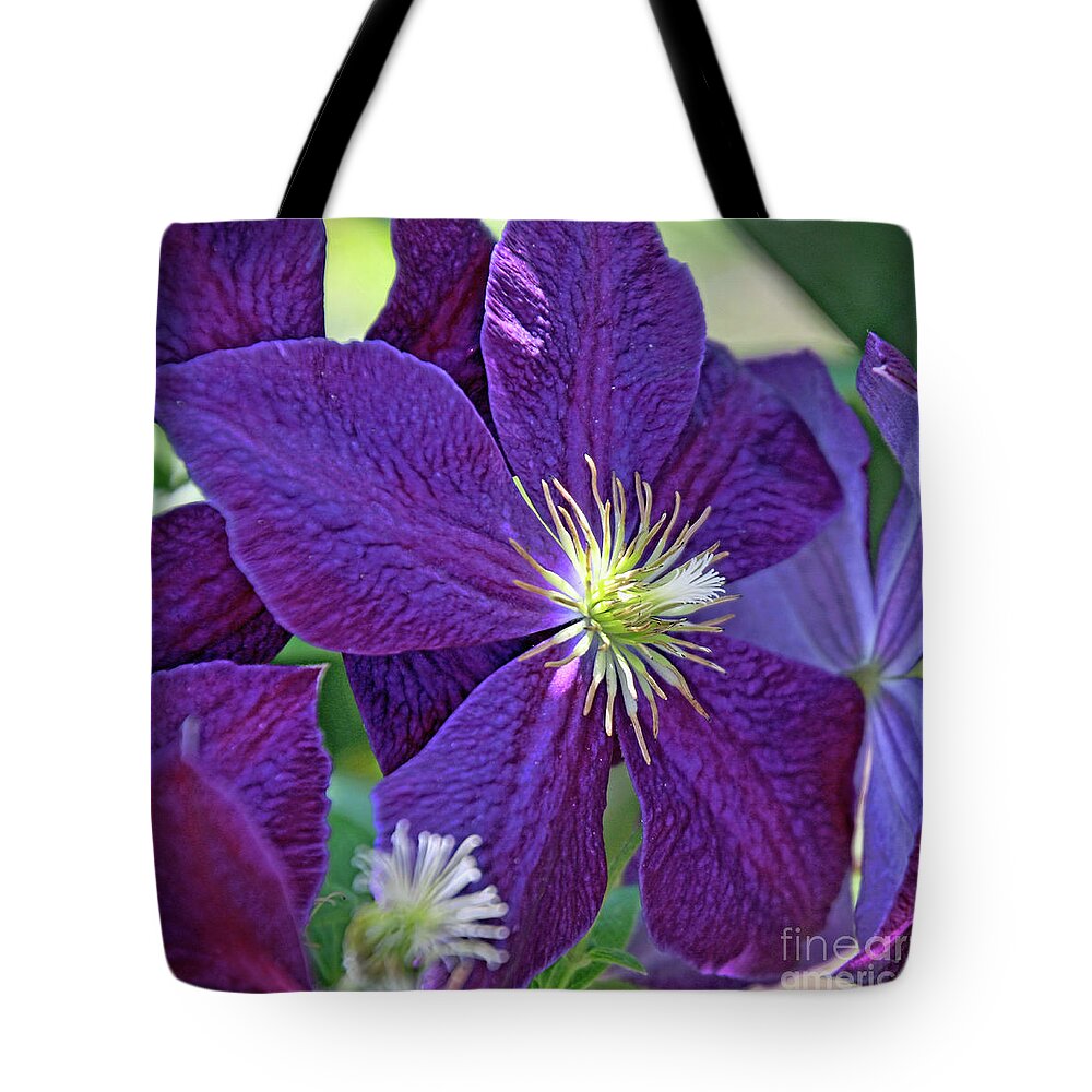 Flora Tote Bag featuring the photograph Purple Flower by Tom Watkins PVminer pixs
