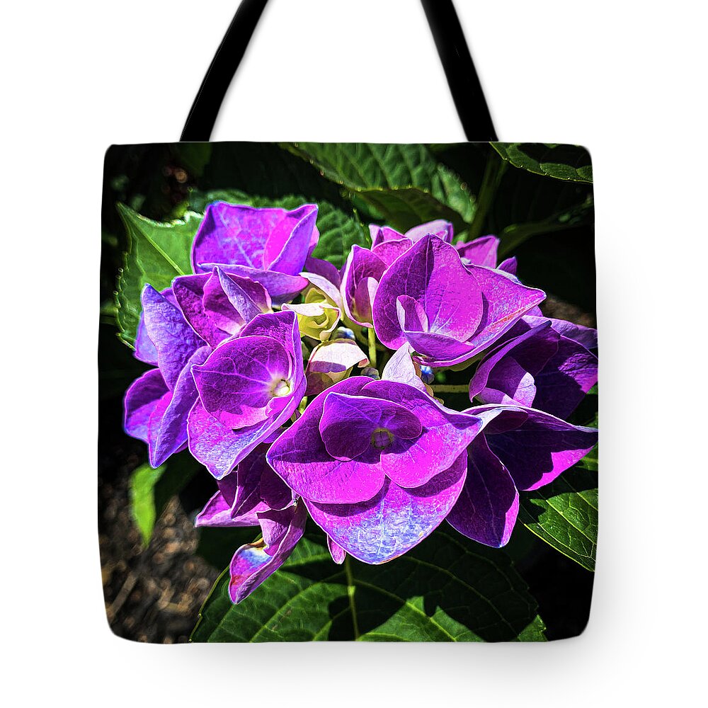 Floral Tote Bag featuring the photograph Purple flowers by Jim Feldman