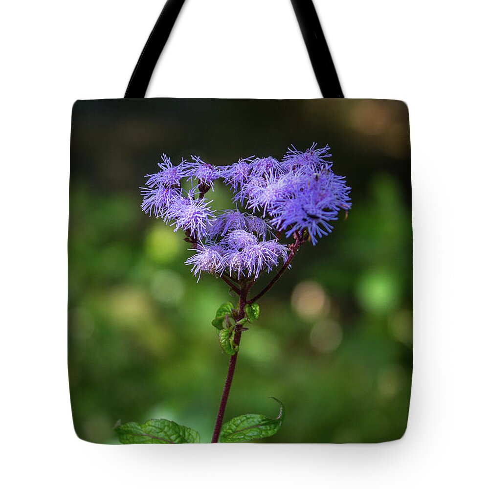 Flowers Tote Bag featuring the photograph Purple Fuz by David Beechum