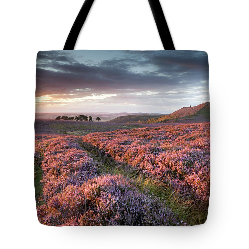 Heather Tote Bag featuring the photograph Purple heather at sunset - Northumberland by Anita Nicholson