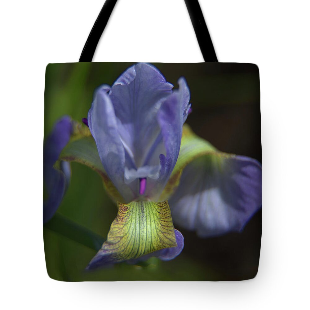 Iris Tote Bag featuring the photograph Purple Iris Flower by Loyd Towe Photography