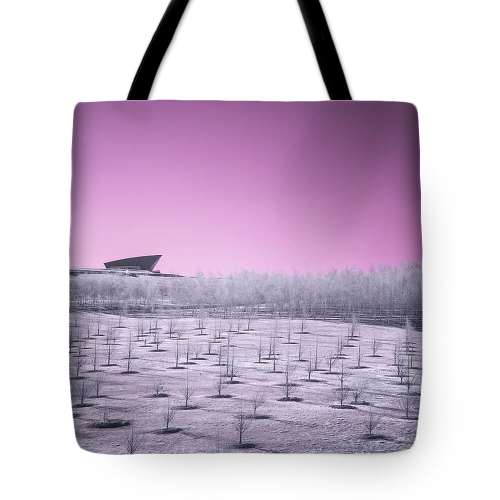 Canberra City Tote Bag featuring the photograph Violet Dream by Ari Rex
