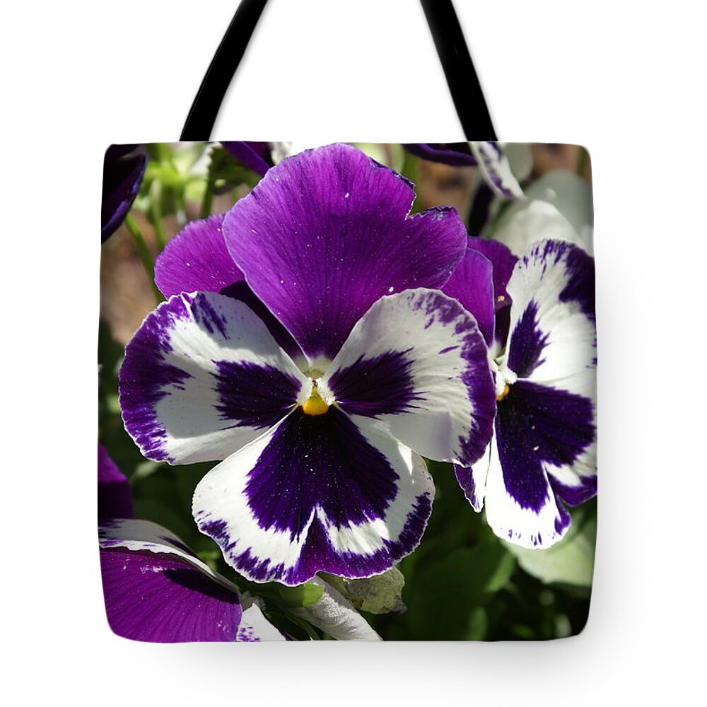  Tote Bag featuring the photograph Purple Pansy by Heather E Harman