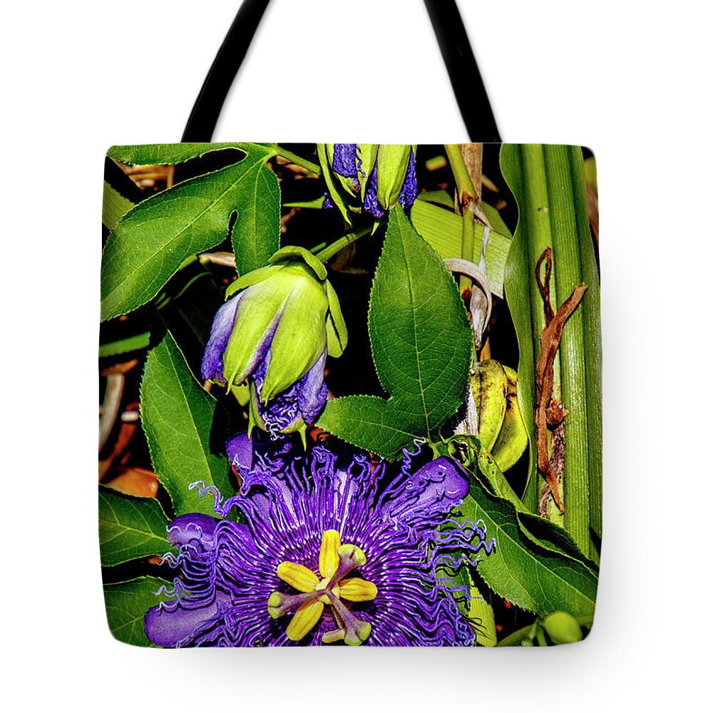 Passion Tote Bag featuring the photograph Purple Passionflower by Bill Barber