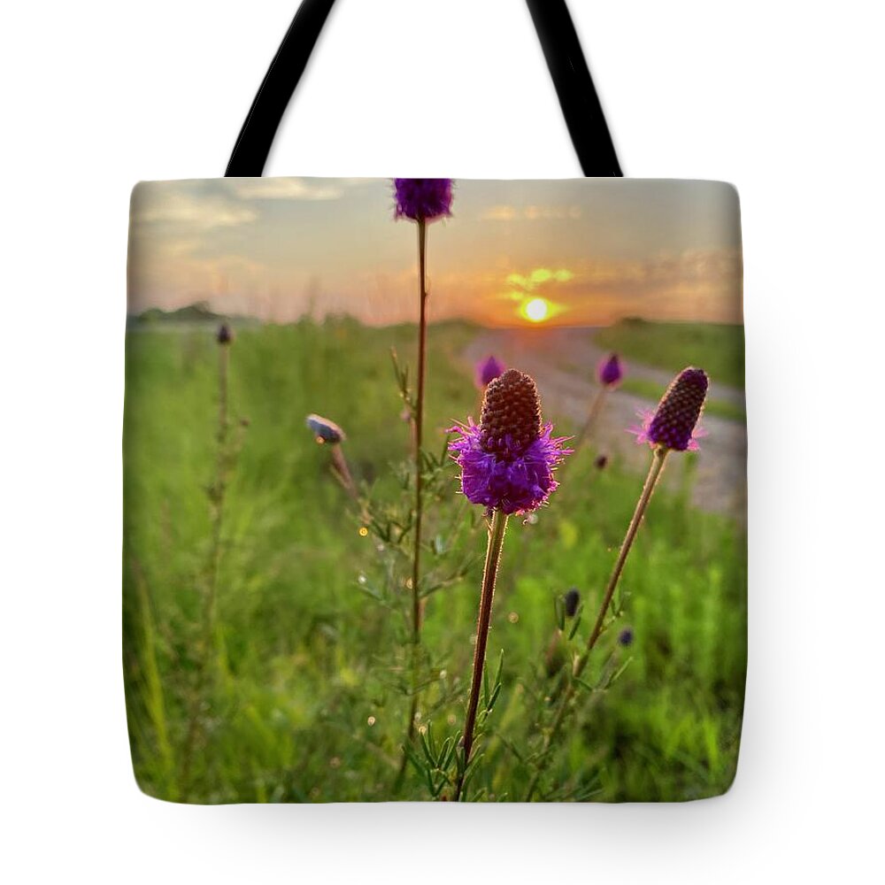 Purple Prairie Clover Tote Bag featuring the photograph Purple Prairie Clover by Alex Blondeau